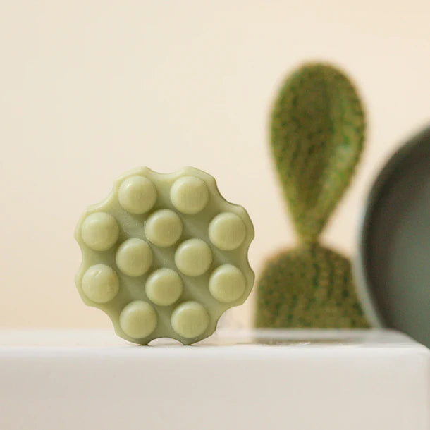 refreshing cactus I shampoo bar